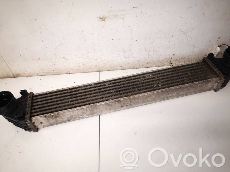 Mercedes-Benz A W169 Radiator intercooler 