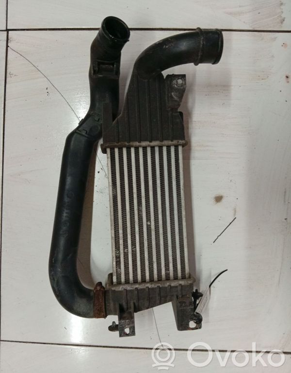 Chłodnica powietrza doładowującego / Intercooler   DWTP7883U28425060,0965B,13128926,5294,DWTP7883U28425060