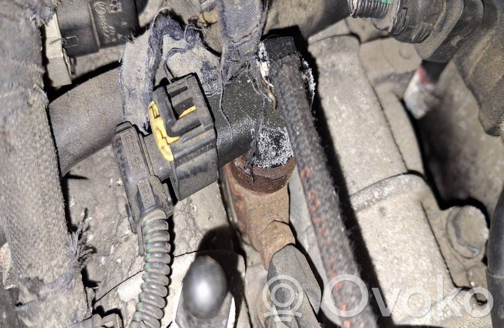 Injektor Einspritzdüse   0445110243,0445110243