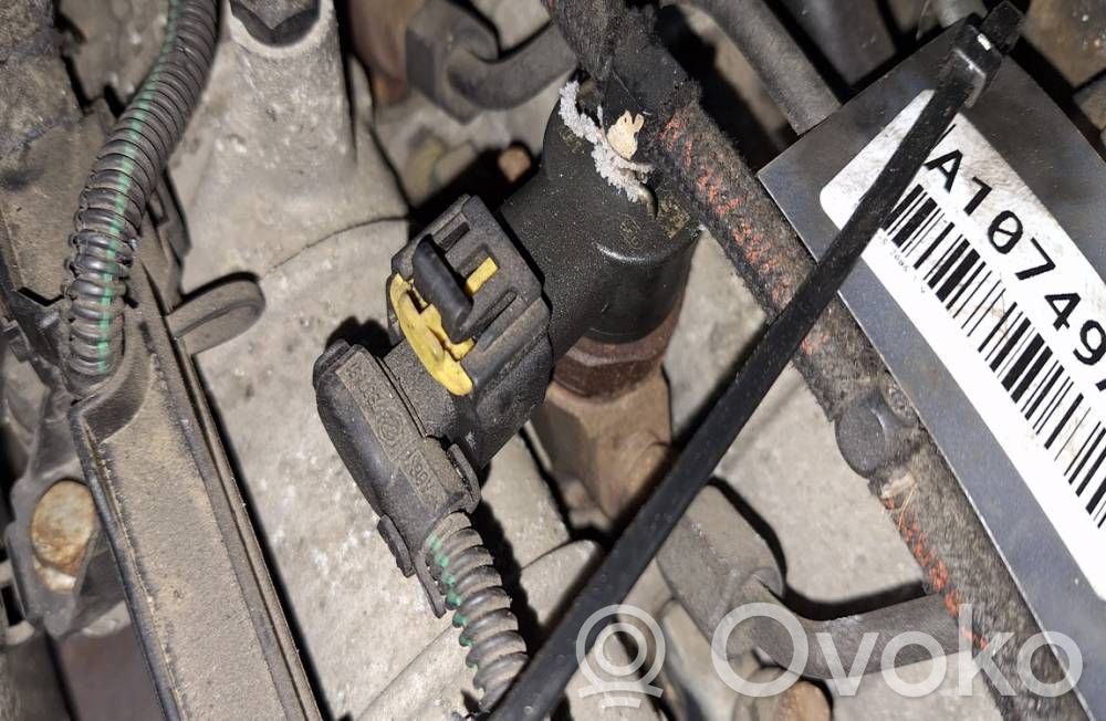 Injector combustibil   0445110243,0445110243