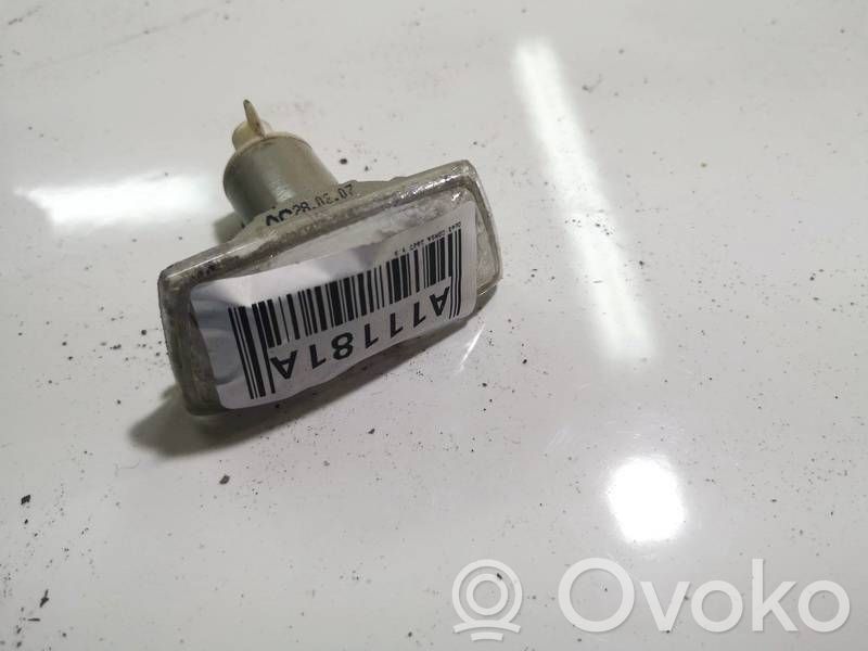 Front fender indicator light