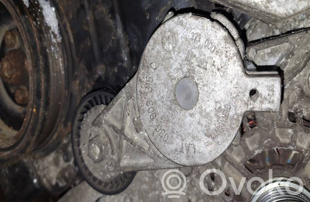 Skoda Octavia Mk2 (1Z) Tendicinghia generatore/alternatore