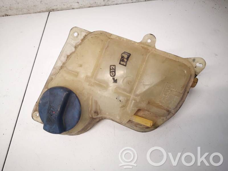 Volkswagen PASSAT B5.5 Serbatoio di compensazione del liquido refrigerante/vaschetta 