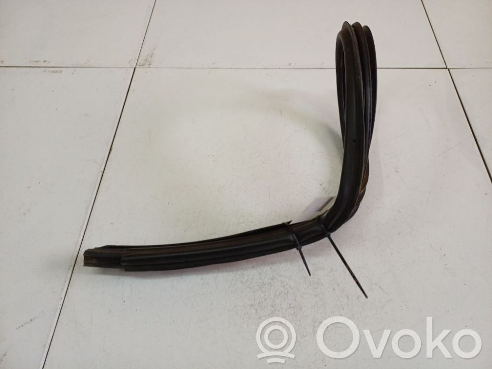 Dodge Caliber Cheder cauciuc ușă față coupe