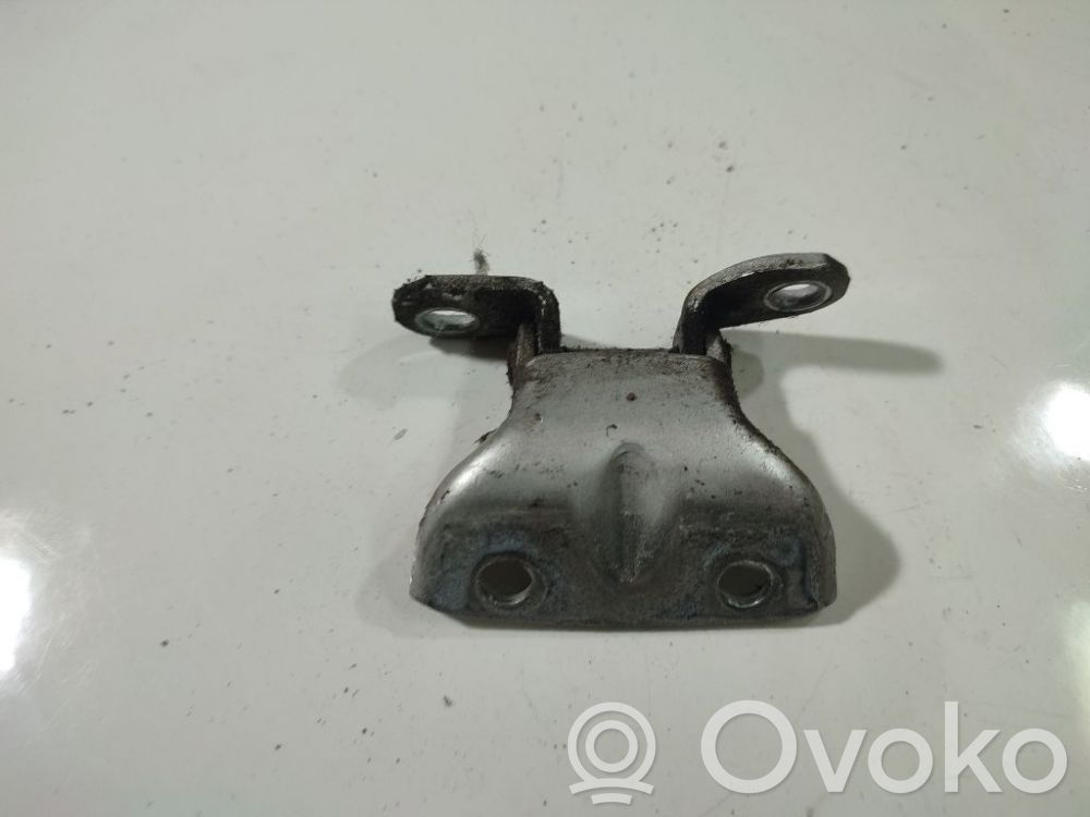 Rear door lower hinge