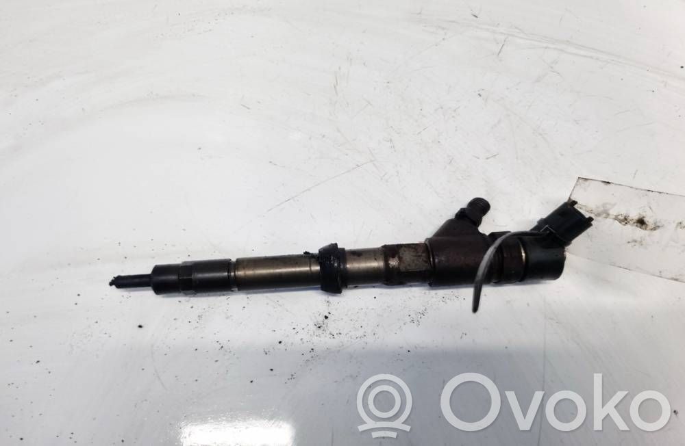 Injector combustibil   504088755,0445110273,0445110273,504088755