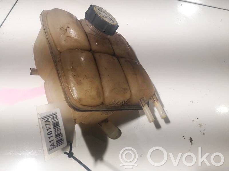 Ford Focus Vas expansiune/rezervor lichid de răcire 