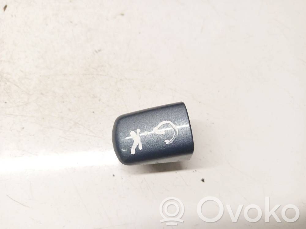 Peugeot 407 Tapa/cubierta de puerta de carga 