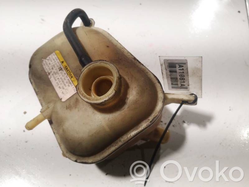 Vas expansiune/rezervor lichid de răcire   254312H100,254312H100