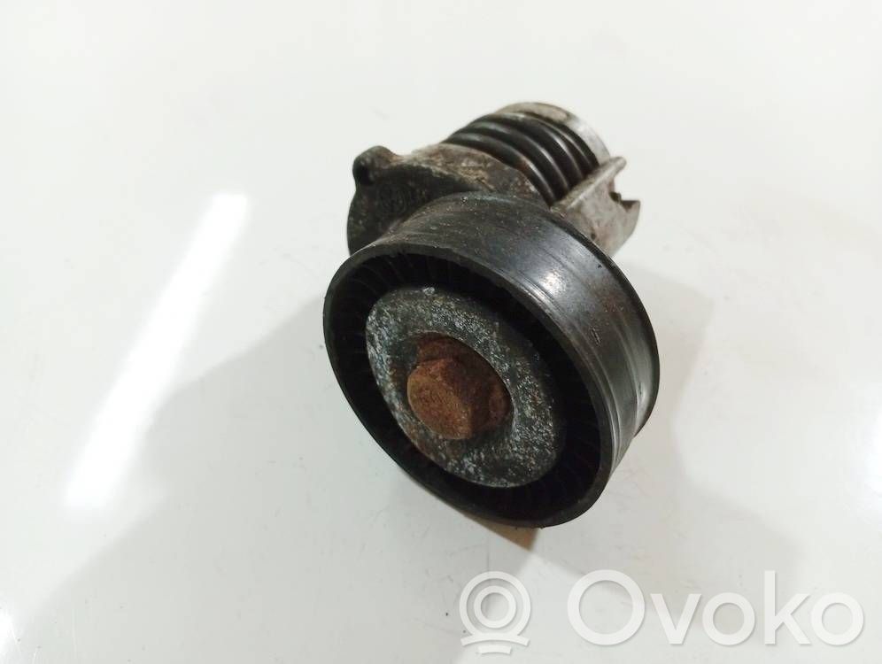 Seat Toledo II (1M) Tendicinghia generatore/alternatore 