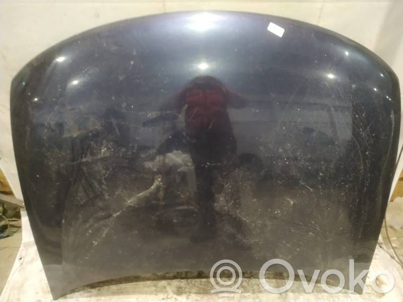 Volkswagen PASSAT B5 Motorhaube 
