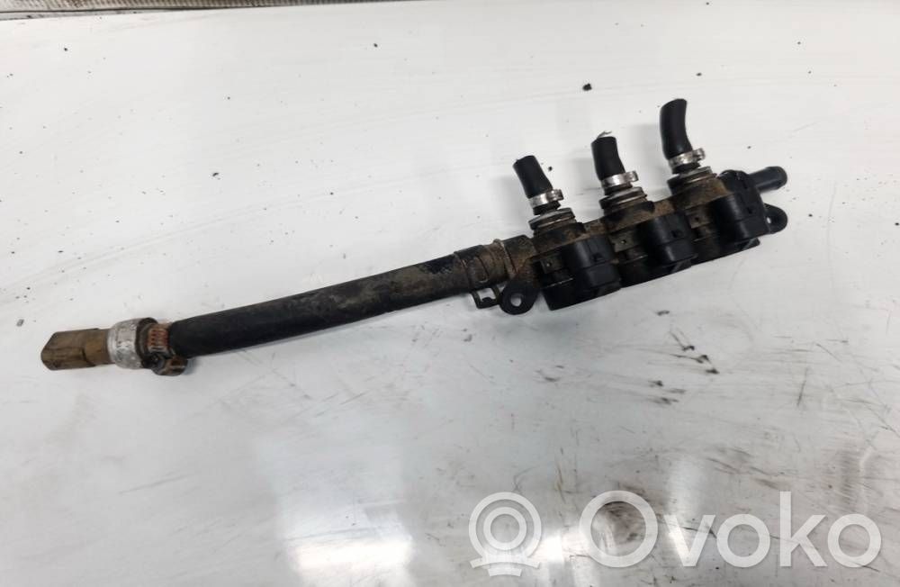 Inyector de gas GLP   67R010290,110R000123,67R010290