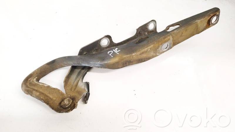 Peugeot 207 Cerniere del vano motore/cofano 