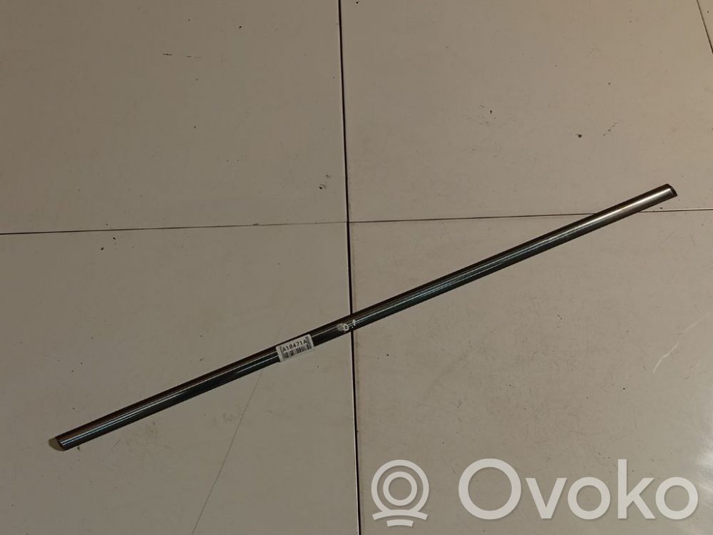 Opel Zafira B Rivestimento modanatura del vetro della portiera anteriore 