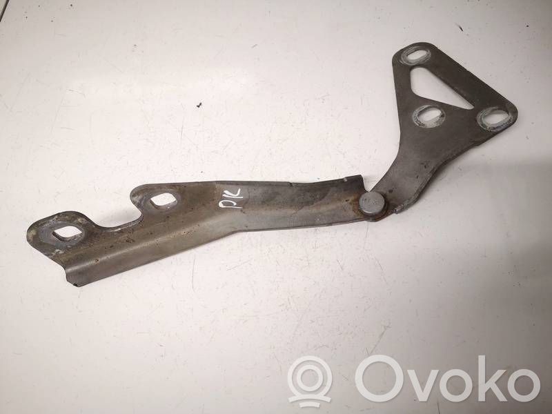 Opel Signum Balamale capotă