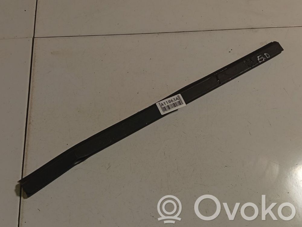 Rear door glass trim molding