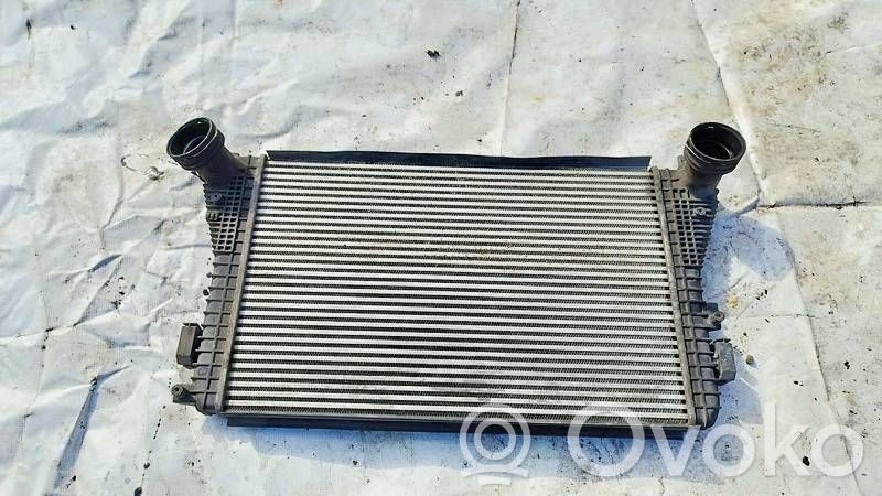 Volkswagen Golf V Radiatore intercooler