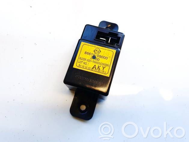 SsangYong Kyron Altre centraline/moduli