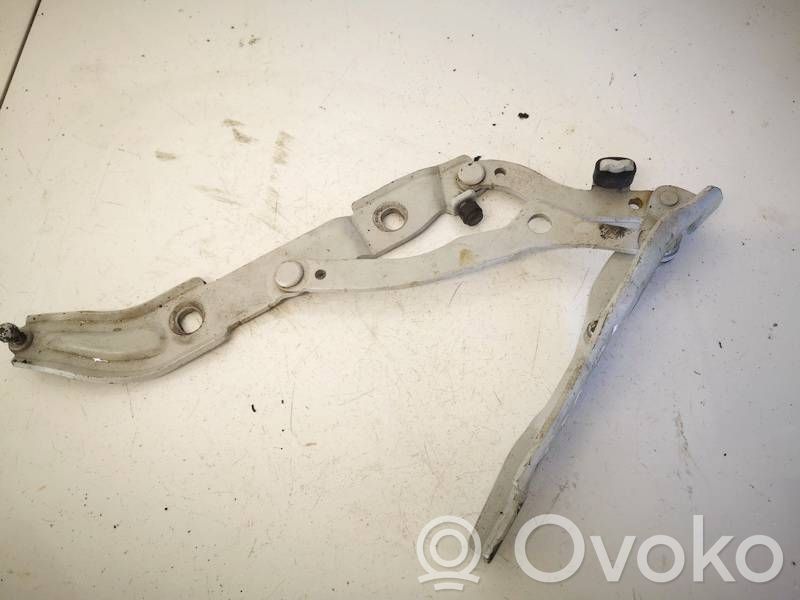 Tailgate/trunk/boot hinge   7060628,7060628,7060628,706062800,706062805,706062806