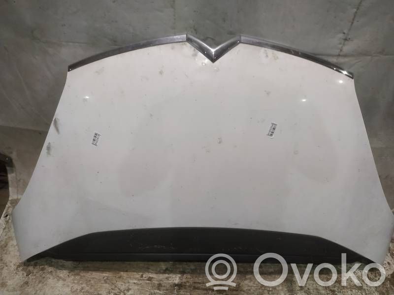 Motorhaube   BALTAS,BALTAS