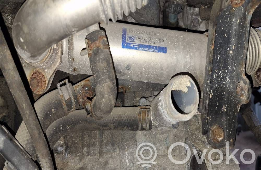 Honda Accord Valvola di raffreddamento EGR