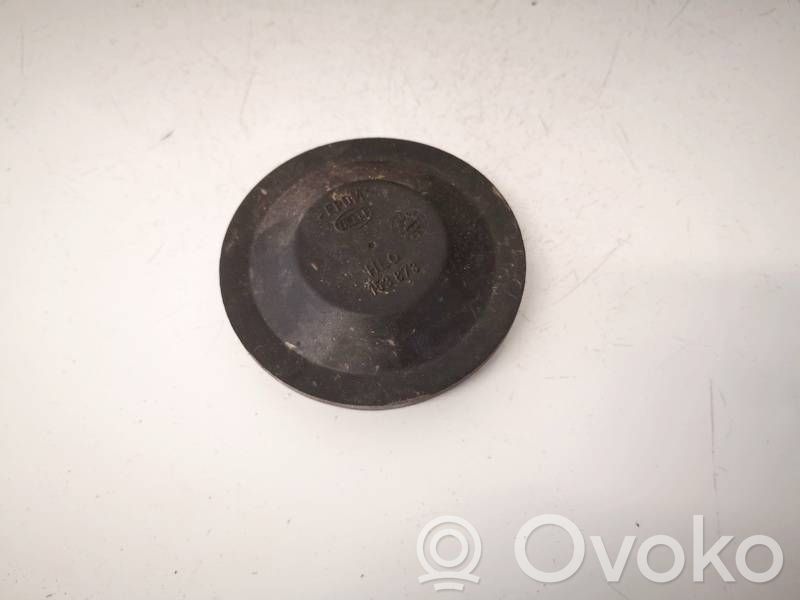 Volkswagen PASSAT B5 Parapolvere per faro/fanale 
