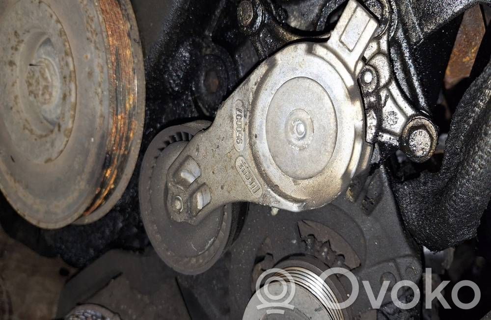 Volvo V50 Tendicinghia generatore/alternatore 