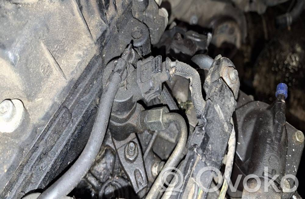 Inyector de combustible   0445110044,9640895380,0445110044,9640895380