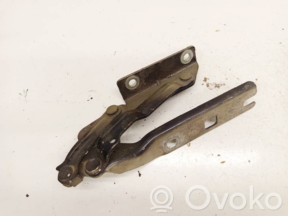 Volkswagen Golf V Cerniere del vano motore/cofano