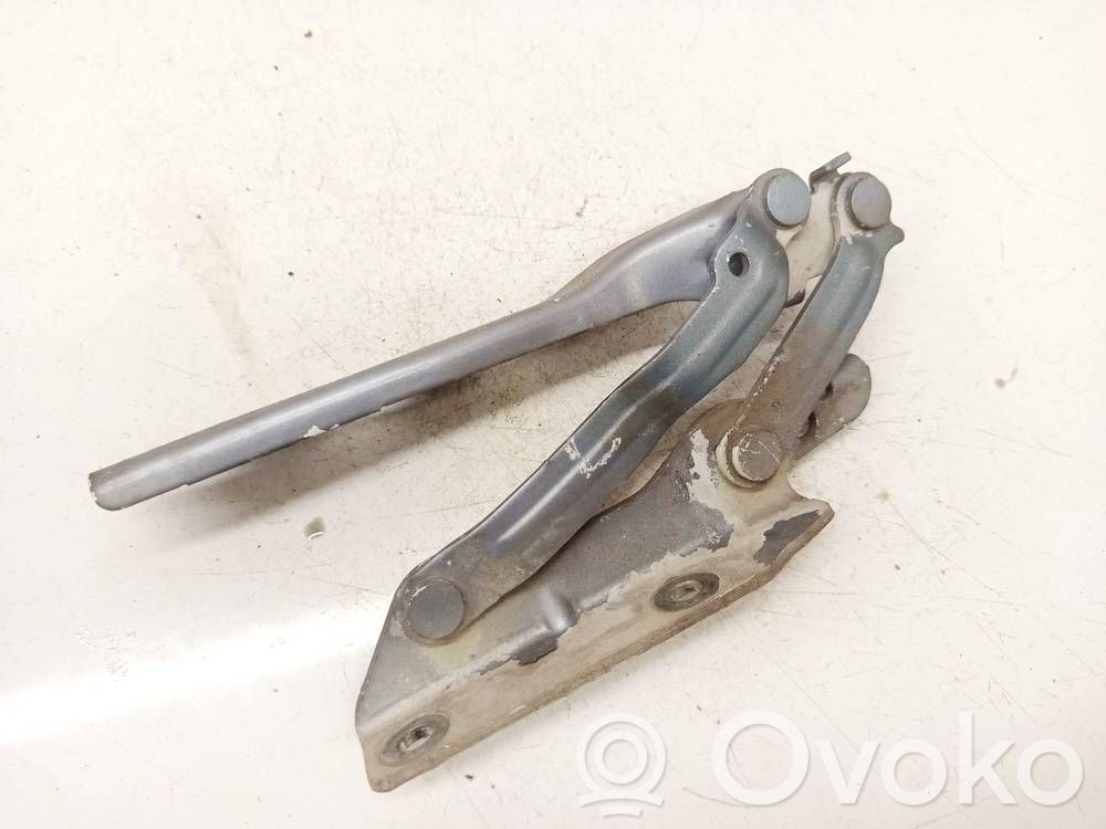Volkswagen Golf VI Balamale capotă 