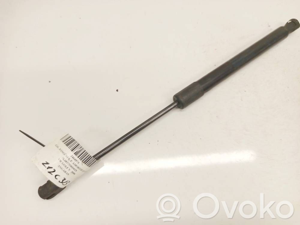 Volkswagen Golf VI Amortizor hayon 