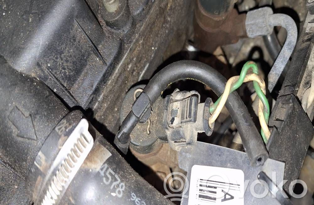 Peugeot 406 Injector combustibil