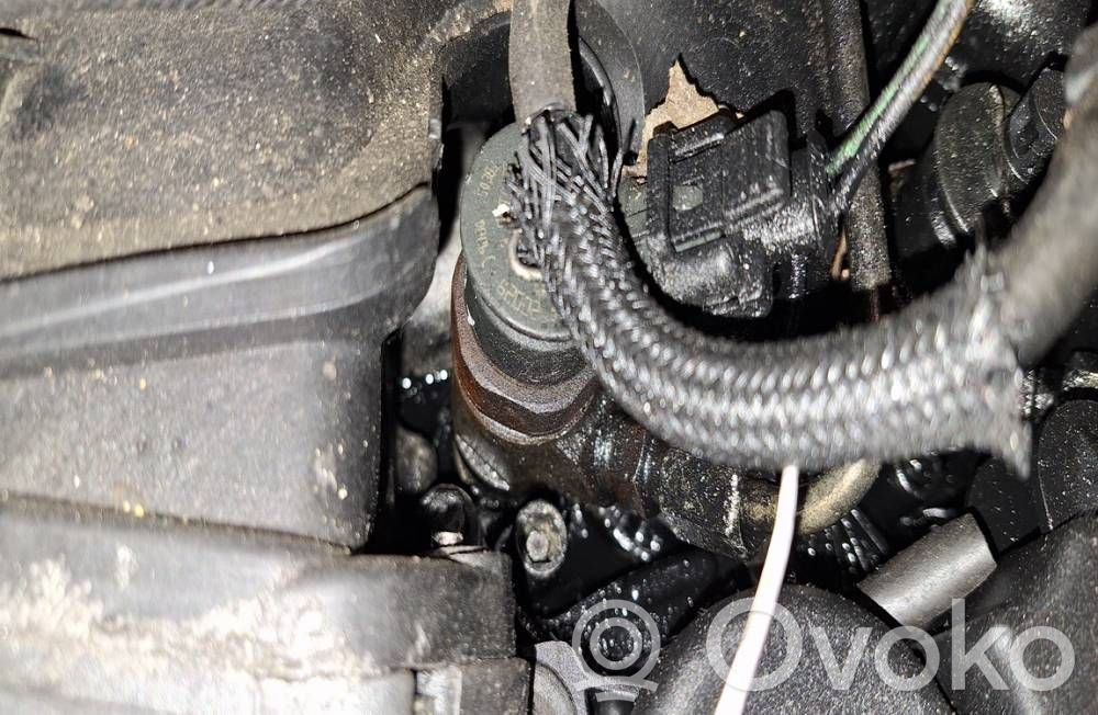 Injector combustibil   0445110297,0445110297