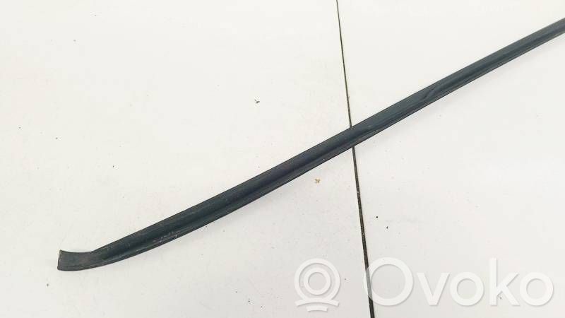 Volkswagen PASSAT B6 Rivestimento parabrezza