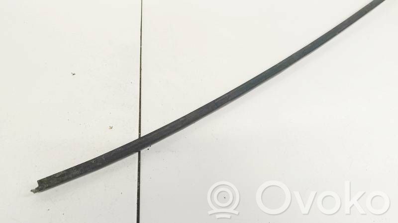 Volkswagen PASSAT B6 Rivestimento parabrezza 