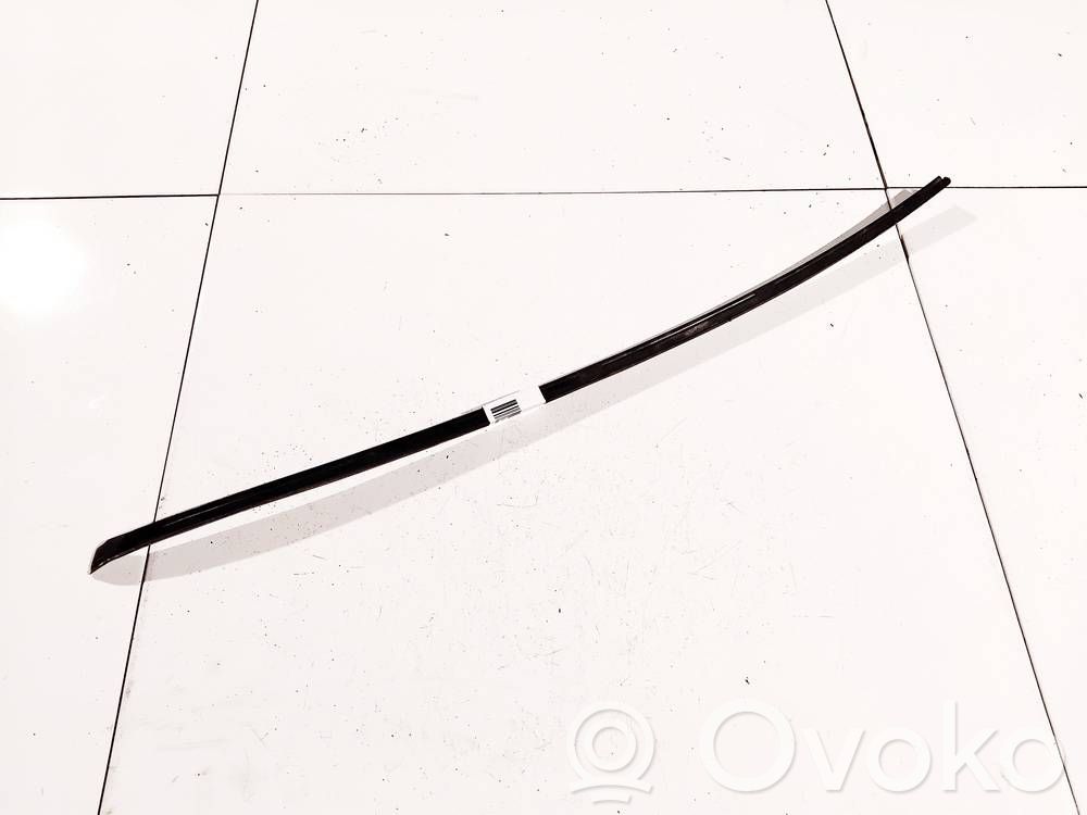 Volkswagen PASSAT B6 Rivestimento parabrezza