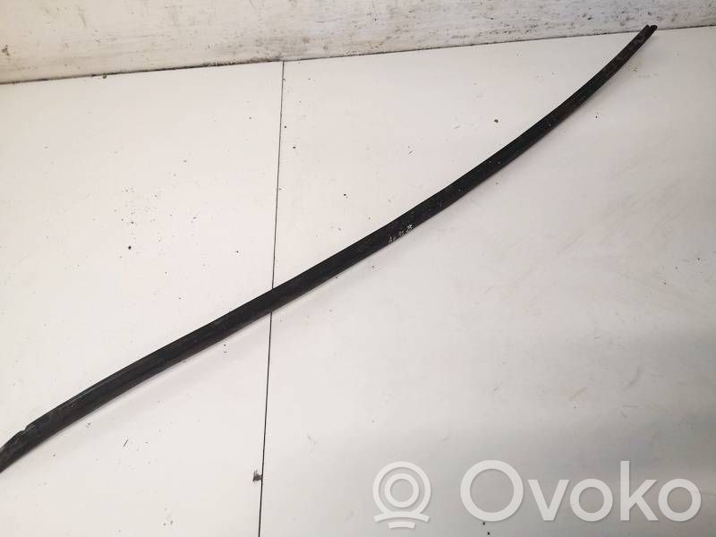 Volkswagen PASSAT B6 Rivestimento parabrezza