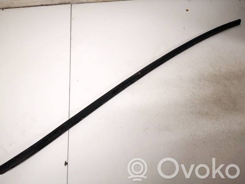 Volkswagen PASSAT B6 Rivestimento parabrezza