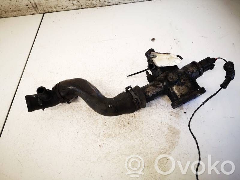 Seat Alhambra (Mk1) Tubo flessibile del liquido di raffreddamento del motore