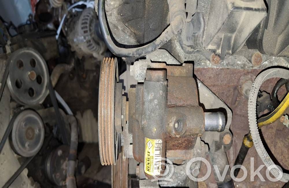 Dacia Sandero Servopumpe 