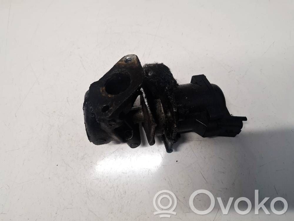 Ford Focus Valvola EGR