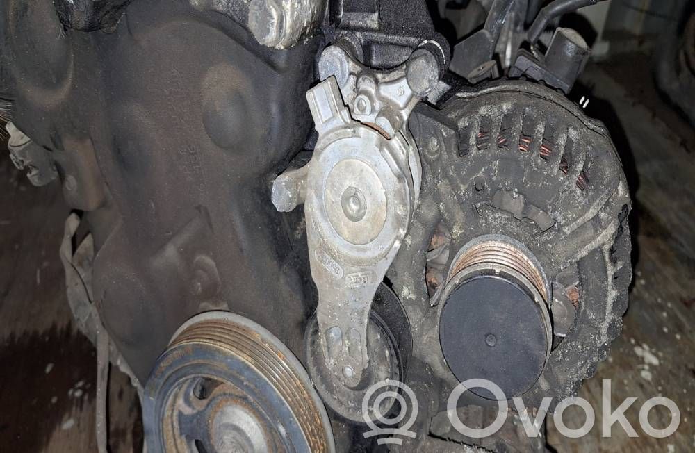 Peugeot 307 Tendicinghia generatore/alternatore 
