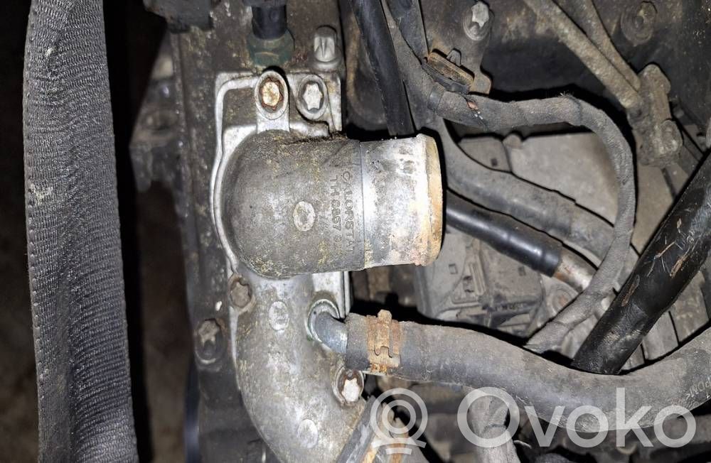 Opel Signum Przewód / Wąż chłodnicy 