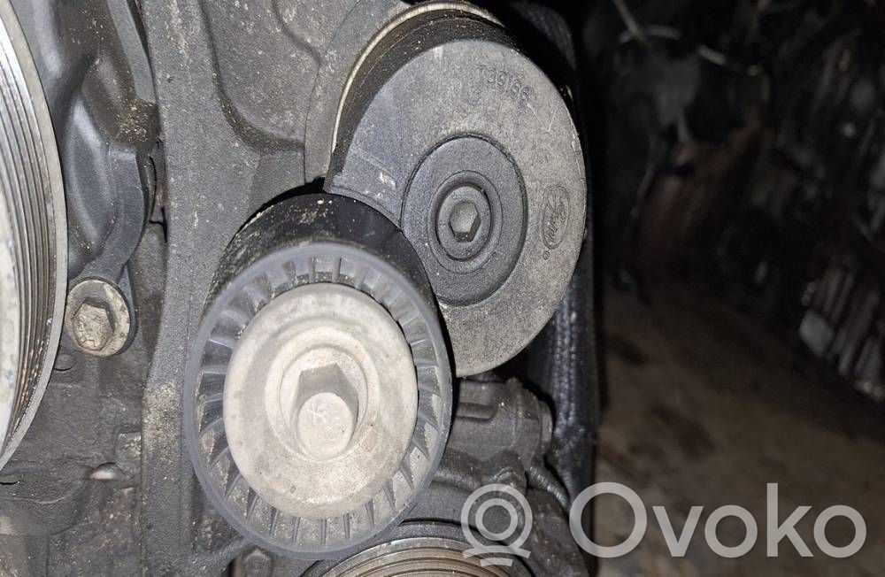 Citroen C5 Tensor de correa del alternador 