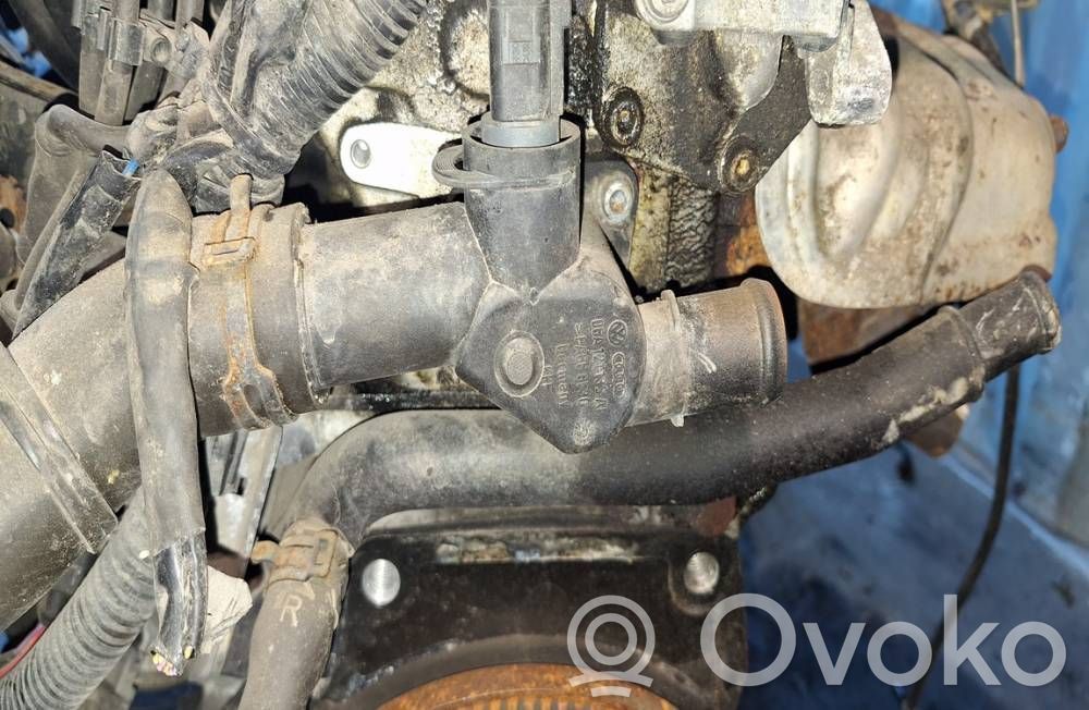 Audi A3 S3 8P Przewód / Wąż chłodnicy 