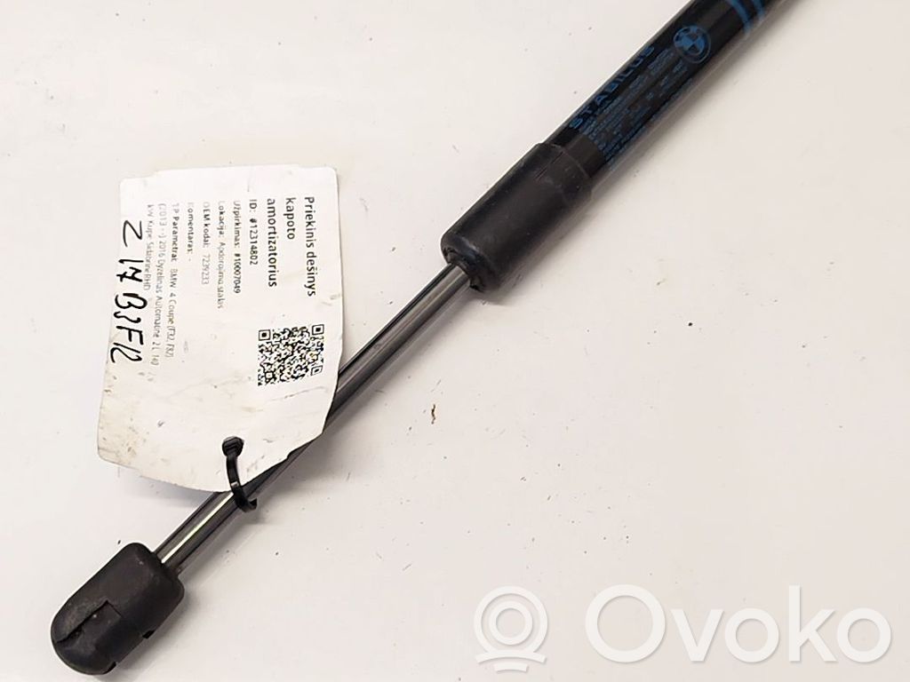 BMW 1 F20 F21 Ammortizzatore portellone anteriore/cofano 