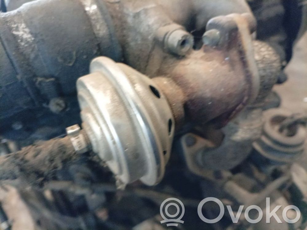 Válvula EGR   028131501E,028131501E,028131501E