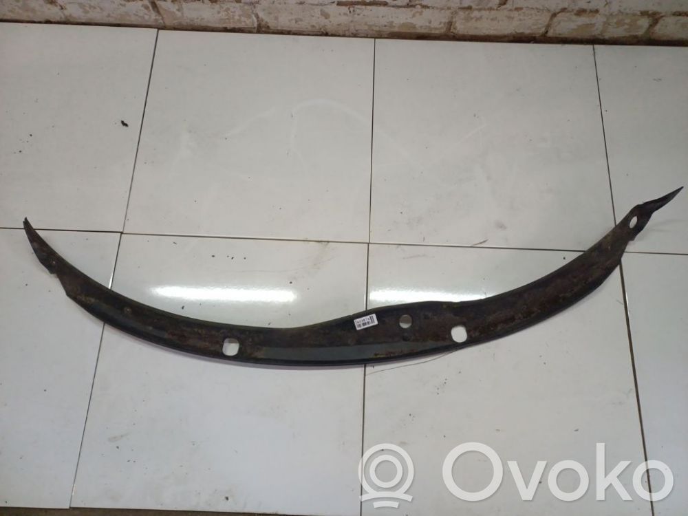 Moldura del limpia