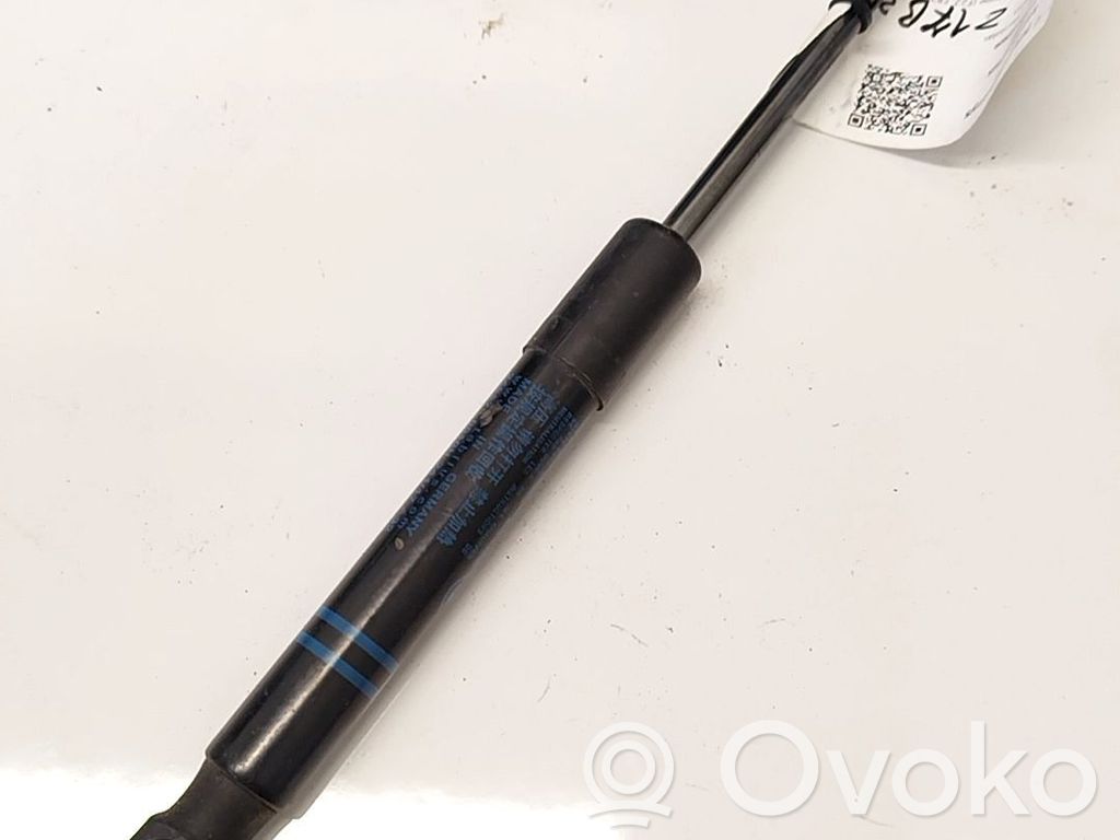 BMW 1 F20 F21 Ammortizzatore portellone anteriore/cofano 