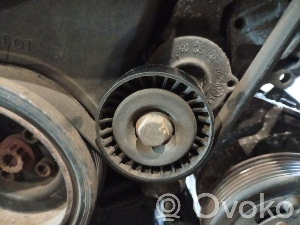 Volkswagen Cross Polo Întinzător curea generator/alternator